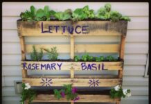 Πως να φυτέψετε λουλούδια και μυρωδικά ακόμα και αν δεν έχετε χώρο |