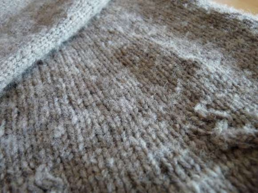 Γιατί γαριάζουν τα ρούχα; Τρόποι πρόληψη και καταπολέμησης του γαριάσματος