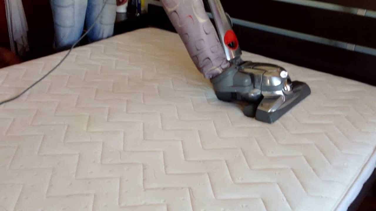 Τι είναι τα ακάρεα; Συμπτώματα αλλεργίας, πρόληψη και αντιμετώπιση.