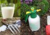 5 λόγοι για τη χρήση γάλακτος στον κήπο σας