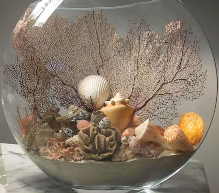 30 ιδέες διακόσμησης σπιτιού με κοχύλια και άλλα θαλασσινά