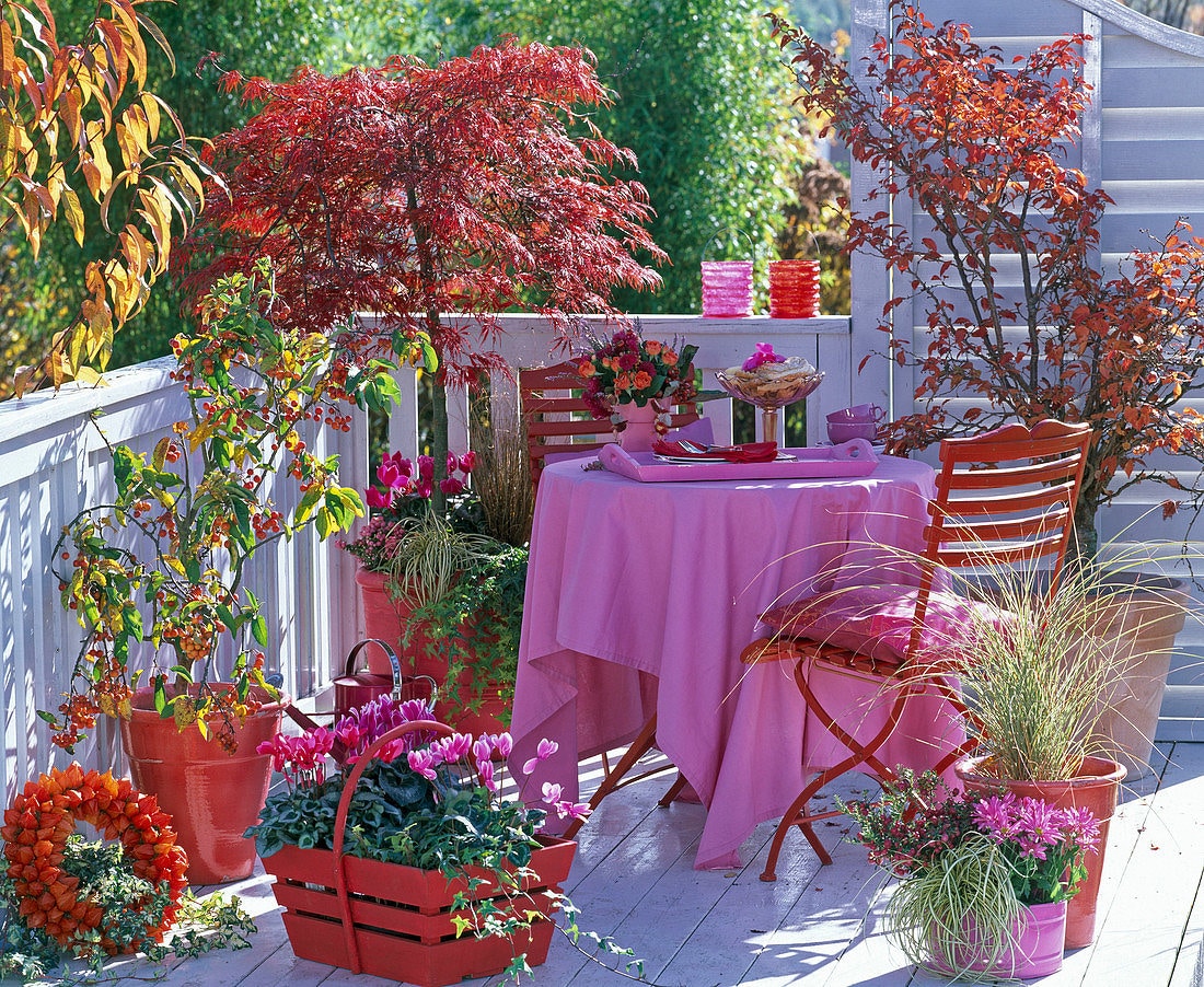 20 εντυπωσιακές ιδέες φθινοπωρινής διακόσμησης μπαλκονιού