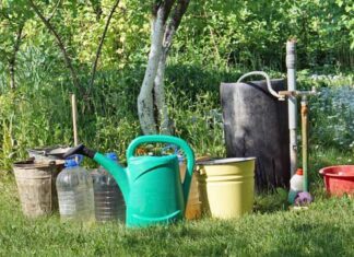 8 εντυπωσιακοί τρόποι για να χρησιμοποιήσετε το απορρυπαντικό στον κήπο και τα φυτά σας