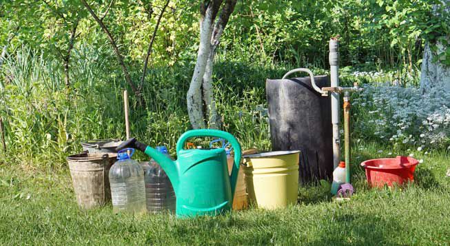 8 εντυπωσιακοί τρόποι για να χρησιμοποιήσετε το απορρυπαντικό στον κήπο και τα φυτά σας
