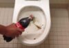 Εύκολος και αποτελεσματικός τρόπος για να καθαρίσετε μια βρώμικη τουαλέτα με Coca-Cola