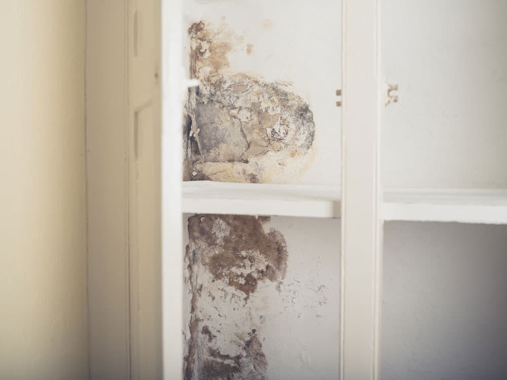 4 έξυπνοι τρόποι για να αποτρέψετε την εμφάνιση μούχλας στις ντουλάπες