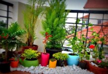 14 πανέμορφες ιδέες για να φυτεύσετε στο μπαλκόνι σας λουλούδια που θα είναι ανθισμένα όλο το χρόνο