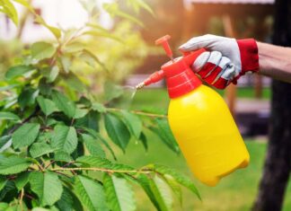 3 τρόποι για να εξοντώσετε τα ζιζάνια στον κήπο με λευκό ξίδι