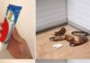 Έξυπνο κόλπο με την οδοντόκρεμα για να απαλλαγείτε οριστικά από τις κατσαρίδες στο σπίτι σας