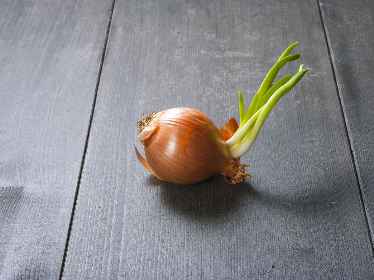 8 έξυπνοι τρόποι για να χρησιμοποιήσετε τα παλιά ή φυτρωμένα κρεμμύδια