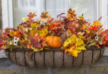 23 υπέροχες ιδέες για να διακοσμήσετε το σπίτι σας με φθινοπωρινά φύλλα