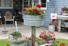 20 πανέμορφες και δημιουργικές ιδέες για μια ρουστίκ αυλή με λουλούδια σε κουβά